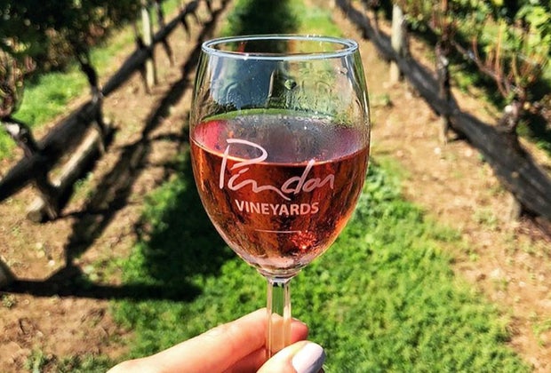 Family-friendly Wineries on Long Island: Pindar Vineyards