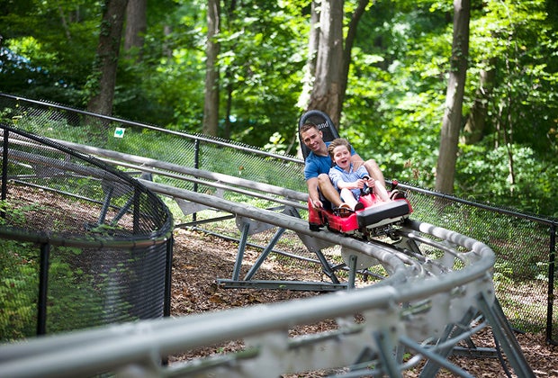 Ride the Alpine Mountain Coaster at Mountain Creek Resort