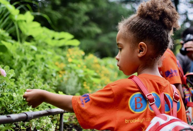 Free and Cheap Summer Camps in NYC for Kids: Brooklyn Cultural Adventures Program Summer Camp 