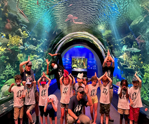 Go under the sea with a marine-themed summer camp at the New York Aquarium. Photo courtesy of WCS