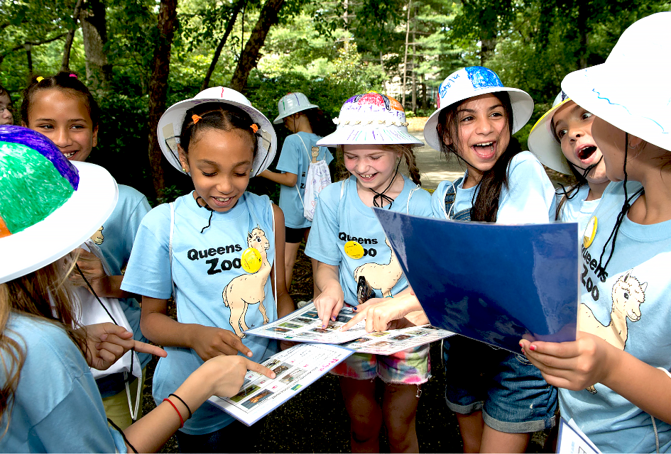 Best Zoo and Museum Summer Camps in NYC The Queens Zoo offers zoo summer camps for kids ranging in age from 18 months up to 13 years covering a variety of wild themes. Photo courtesy of WCS
