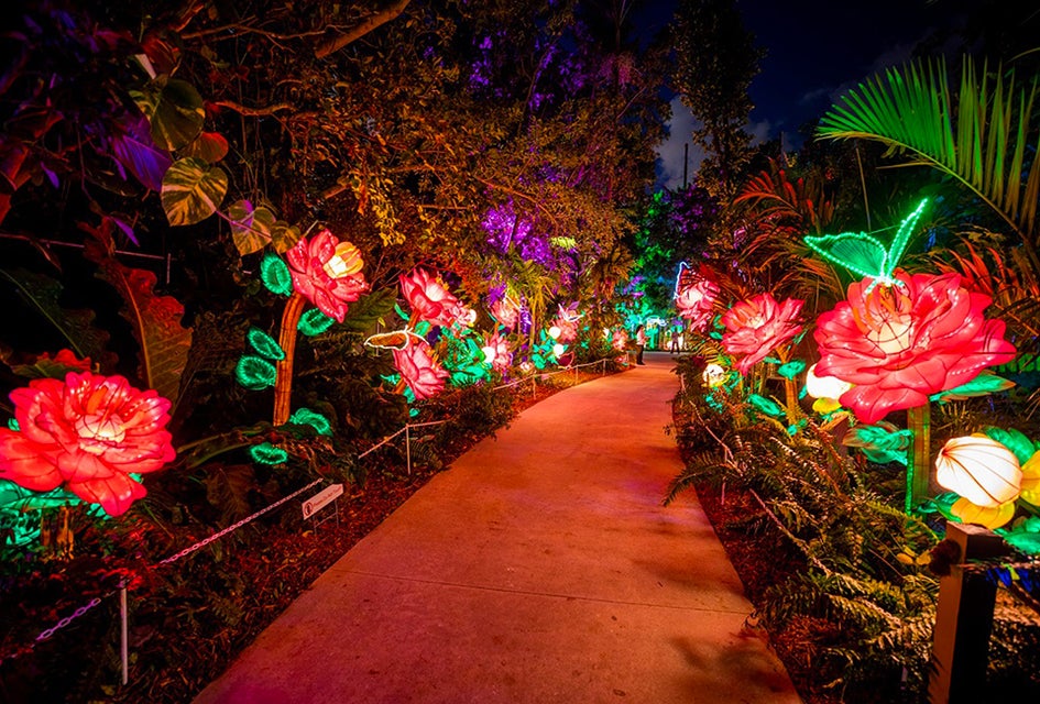 Experience a kaleidoscope of photo-ops, plus acrobatic shows, tasty food, craft cocktails, live music, and more at the captivating light festival, Lektrik, at the Queens Botanical Garden. Photo courtesy of Fever