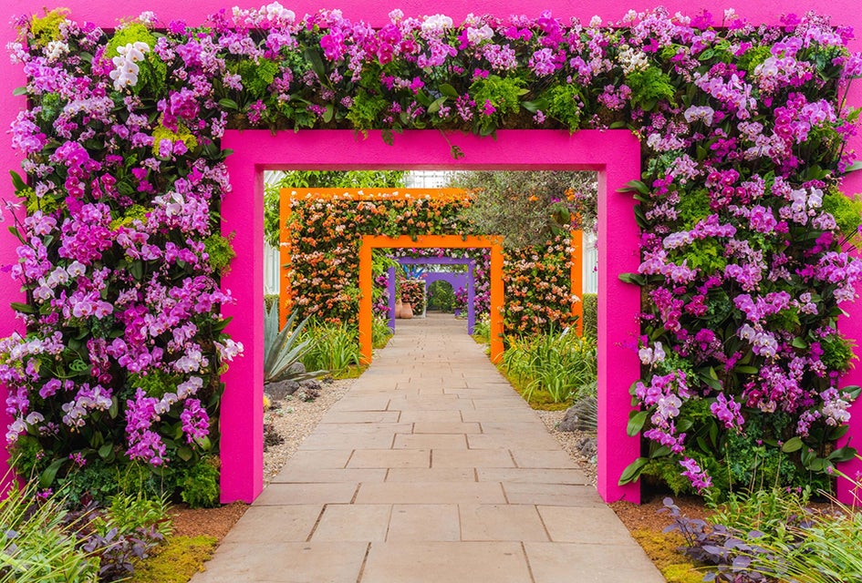 NYBG's celebration of all things orchid carries you to the vibrant setting of Mexico for The Orchid Show: Mexican Modernism. Photo courtesy of NYBG