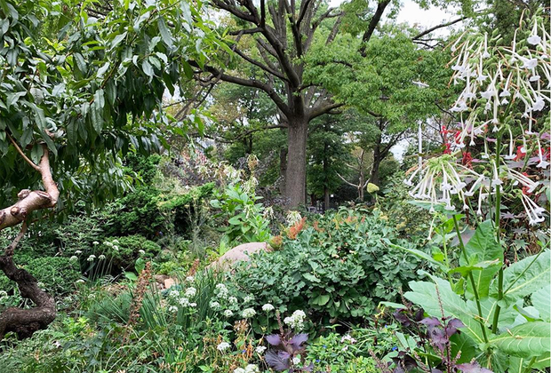 Things to do in Williamsburg, Brooklyn with kids: Green Dome Garden