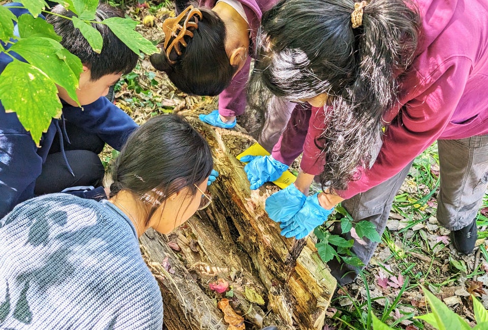 Kids as young as 14 can apply for an eco-focused internship at Alley Pond Park in Queens. Photo courtesy of the Alley Pond Environmental Center