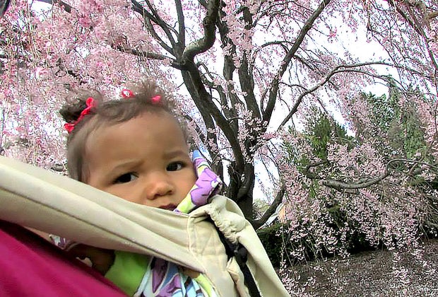 Best things to do in NYC with babies: Baby under weeping cherry trees at the New York Botanical Garden