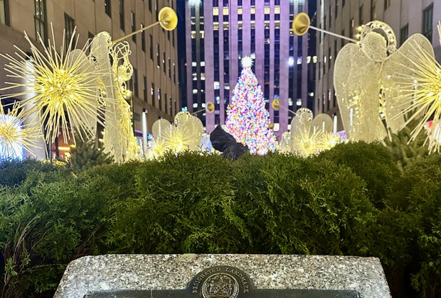 Christmas towns near NYC: Rockefeller Center Christmas Tree