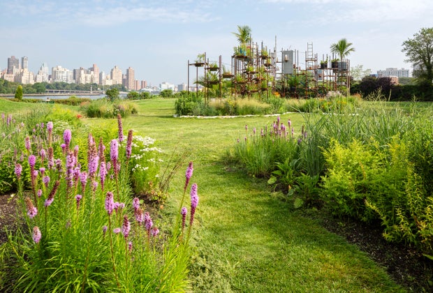Family-friendly activities in NYC: Socrates Sculpture Park