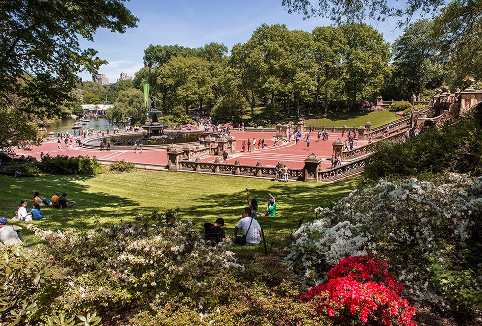 It's officially spring in NYC when Central Park starts to bloom. Photo by Brittany Petronella/NYC Tourism + Conventions