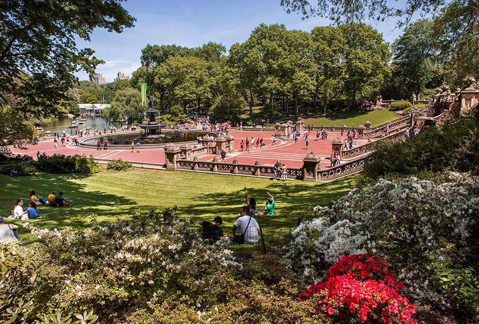 Easter Weekend 2025 in NYC: Easter Egg Hunts, Auto Show, and More Things To Do with Kids It's officially spring in NYC when Central Park starts to bloom. Photo by Brittany Petronella/NYC Tourism + Conventions