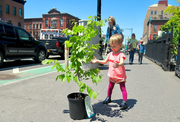 Get a FREE Tree from NYRP