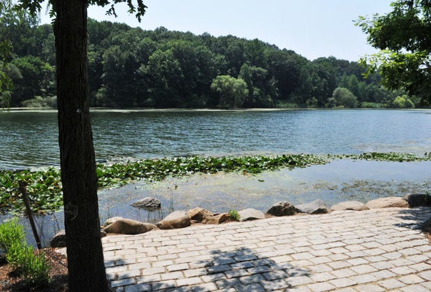 The Fishing Pad at Oakland Lake at Ally Pond Park
