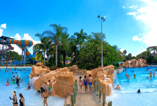 Aquatica Orlando: The Ultimate Guide for Wet & Wild Fun: Cutback Cove and Big Surf Shores: Aquatica Orlando: The Ultimate Guide for Wet & Wild Fun