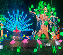 The Asian Lantern Festival runs though January 19, 2025.