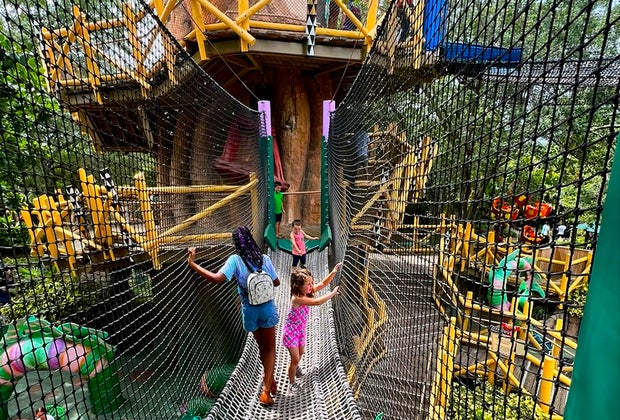 Central Florida and Orlando Attractions Offering Free Preschool Passes: Busch Gardens Tampa Bay.