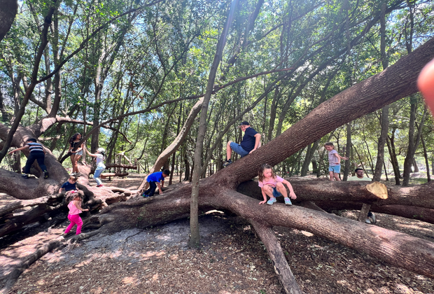 Things To Do with Preschoolers and Toddlers in Orlando Before They Turn 5: Bonnet Springs Park