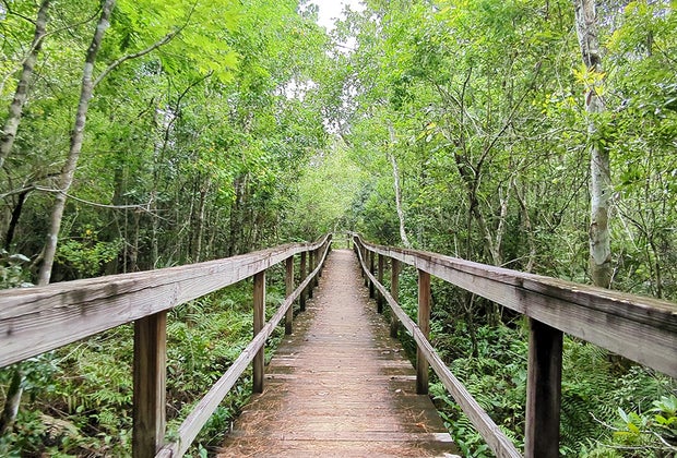Kewanee Park Boardwalk – Casselberry