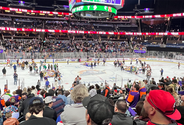 Attending an Orlando Solar Bears Game with Kids