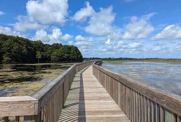 Orlando Wetlands – Christmas