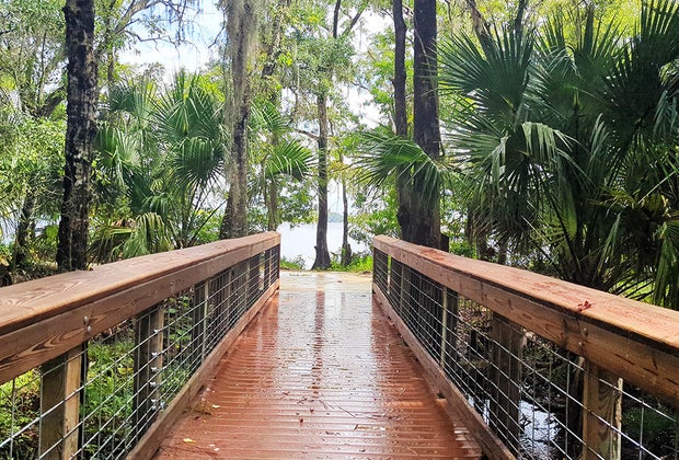 Lake Mills Boardwalk – Chuluota