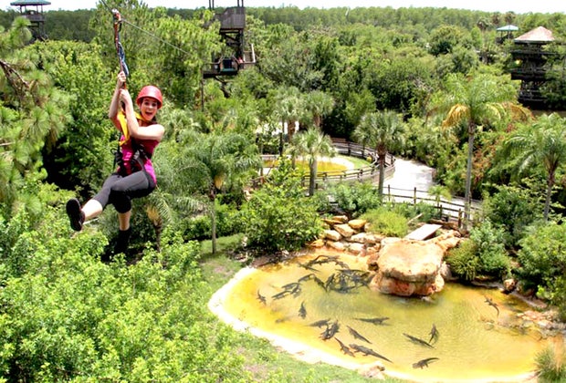 Screamin' Gator Zipline.