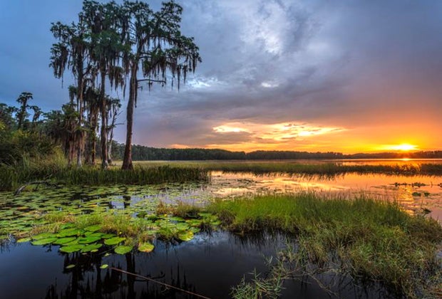 Lake Louisa State Park is known for its beautiful views. 