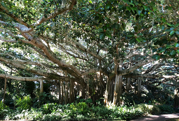 Legoland Florida Resort: Cypress Gardens