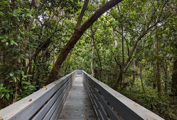 Sweetwater Park Boardwalk – Oviedo
