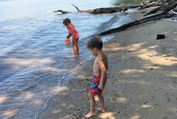 Shark Tooth beaches Florida