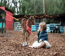 The farm animals at Lil' Bit of Life Farm help babies celebrate their first birthdays. 