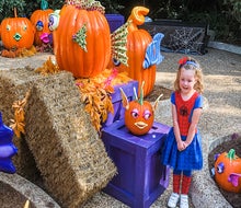 SeaWorld’s Spooktacular runs through November 2 with fun surprises, candy, costumes, and more! Photo by the author