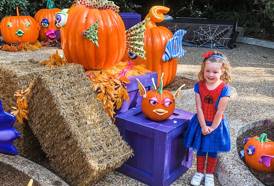 SeaWorld’s Spooktacular runs through November 2 with fun surprises, candy, costumes, and more! Photo by the author
