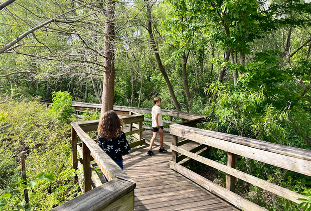 Mead Botanical Garden
