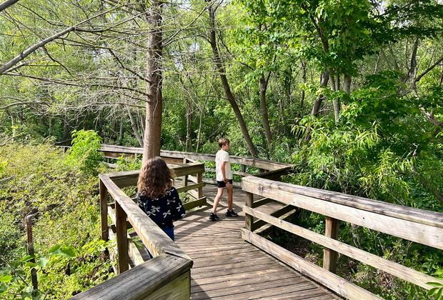 Mead Botanical Garden