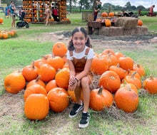 There are plenty of choices for pumpkin patches near Houston. Photo courtesy of P6 Farms