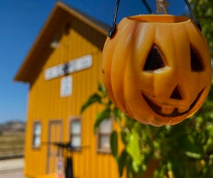 Photo courtesy of the Pacific Southwest Railway Museum Pumpkin Express