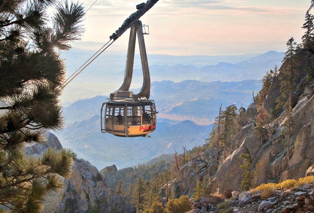 Best Things To Do in Palm Springs: Aerial Tramway