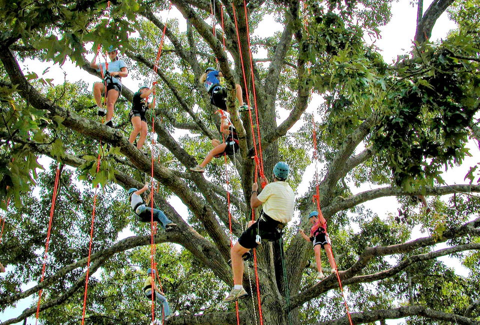 Learn some climbing skills in a Tree Climbing Class at Panola Mountain State Park. Photo courtesy of the park