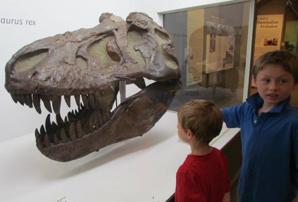 FREE Museum Days in the Fairfield and New Haven Area