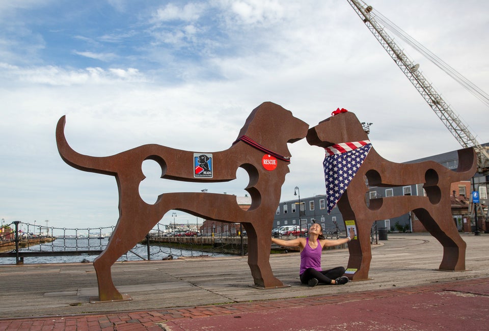Woof! Dog Sculptures Bring Kid-Friendly Public Art to Charlestown