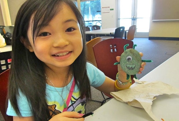 California Fun Facts for Kids: Pet rocks