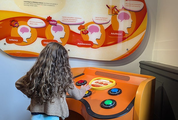 The Giant Heart is Back and Better Than Ever at the Franklin Institute