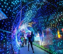 Photo ops abound at the gorgeous light displays at LumiNature. Photo by Winnie Chung for the Philadelphia Zoo