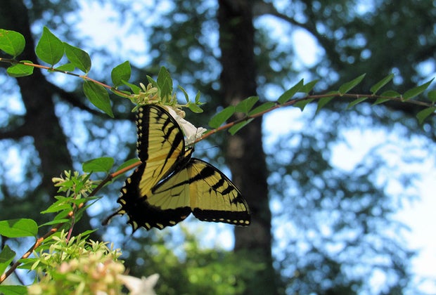 The Garden of the Five Senses Budget Weekend Getaways for Philly Families 