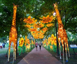 The Philadelphia Chinese Lantern Festival is open at Franklin Square through August 31! Photo by H. Daluisio/Visit Philadelphia