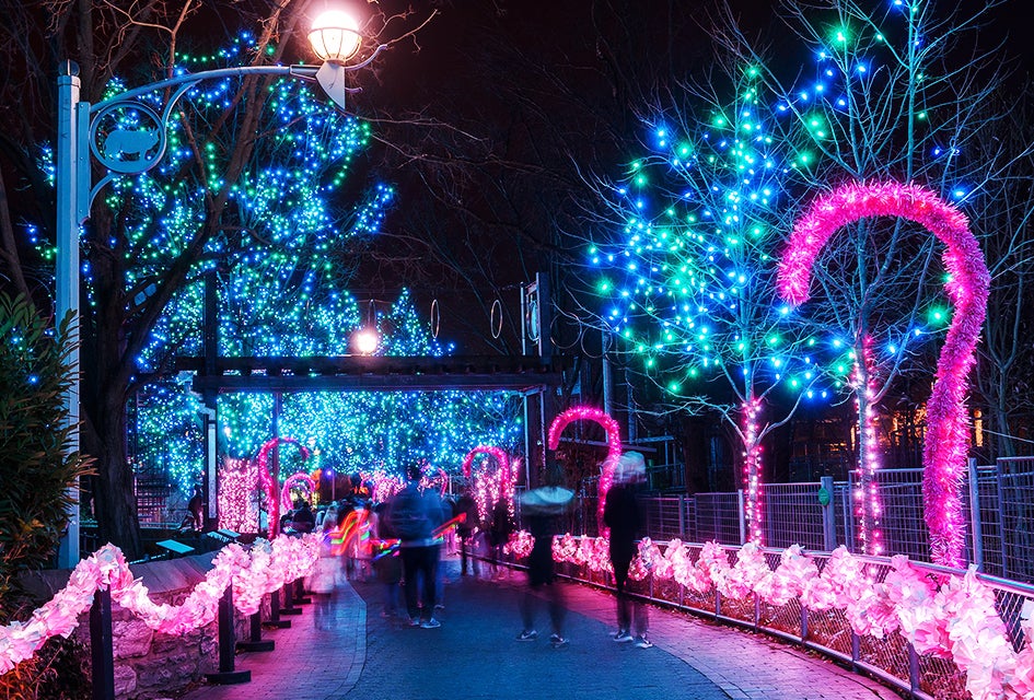 30 Must-Do Christmas Events and Holiday Activities in Philly for Kids The zoo lights are aglow at LumiNature. Photo courtesy of the Philadelphia Zoo