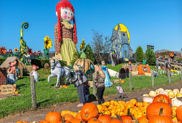 Linvilla Orchards 