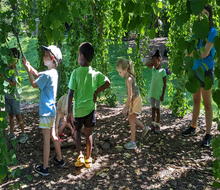 Kids get to explore nature at Morris Arboretum Camp. Photo courtesy of the arboretum