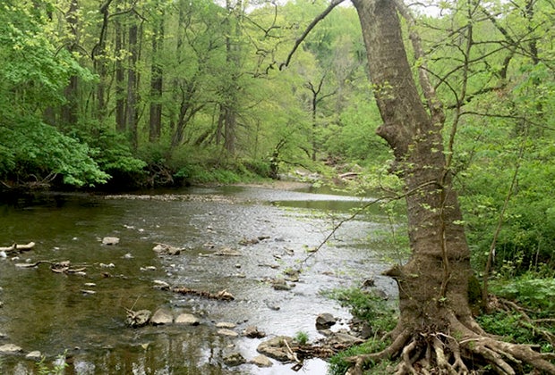 Pennypack Park. Awesome Things to do with Kids in Northeast Philadelphia