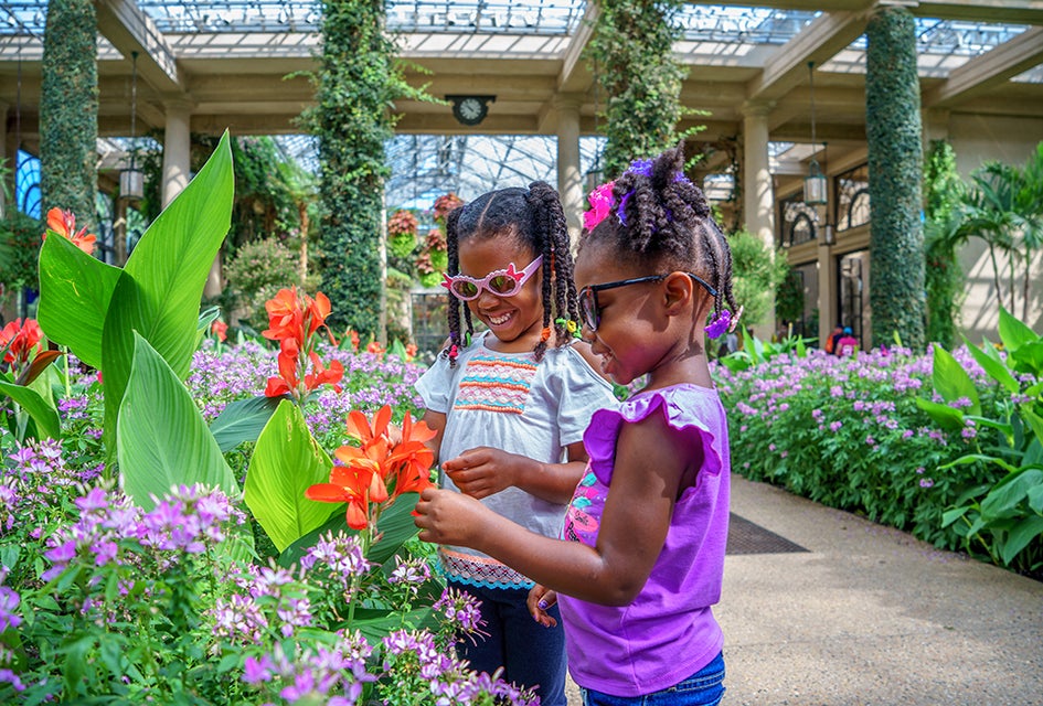See exotic plants from around the world and spot wildlife in the Meadow Garden at Longwood Gardens. Photo by F. Fusco/Visit Philladelphia